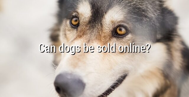 Can dogs be sold online?
