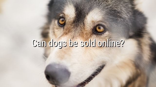 Can dogs be sold online?