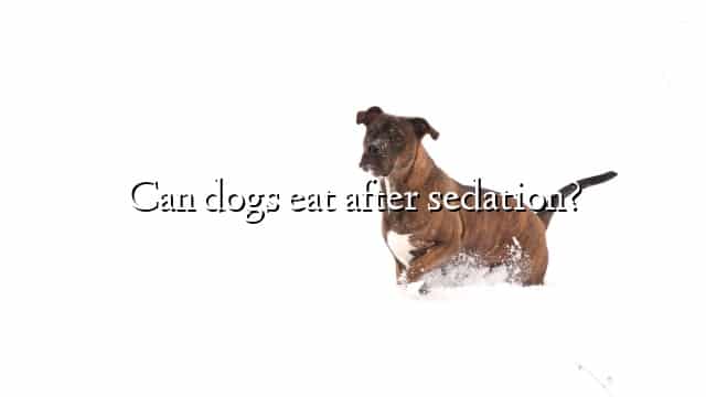 Can dogs eat after sedation?