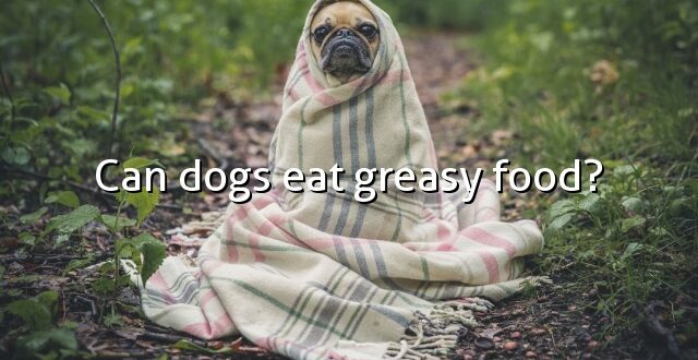 Can dogs eat greasy food?