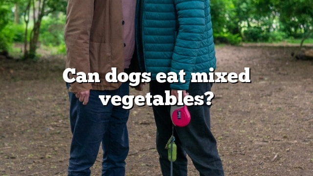 Can dogs eat mixed vegetables?