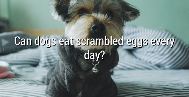 Can dogs eat scrambled eggs every day?