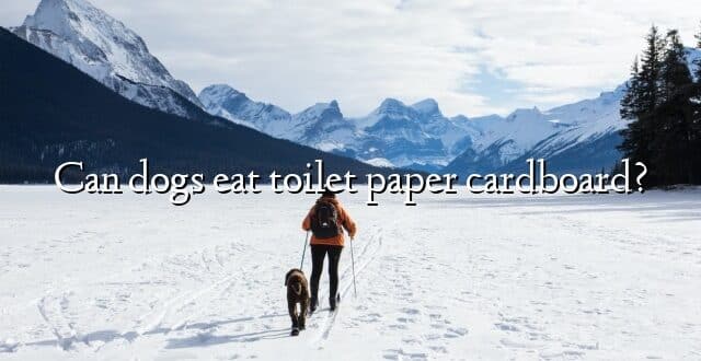 Can dogs eat toilet paper cardboard?
