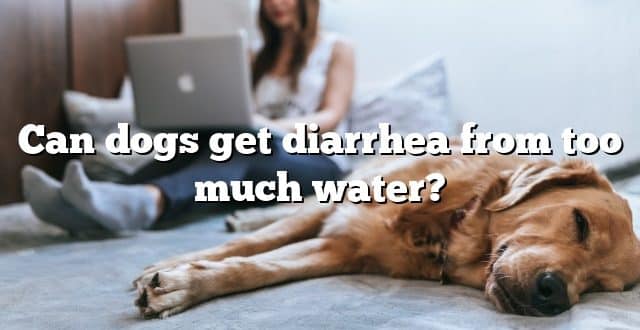 Can dogs get diarrhea from too much water?