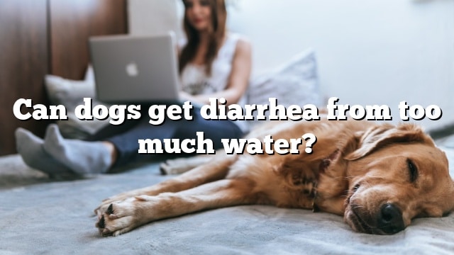 Can dogs get diarrhea from too much water?