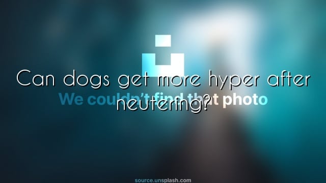 Can dogs get more hyper after neutering?