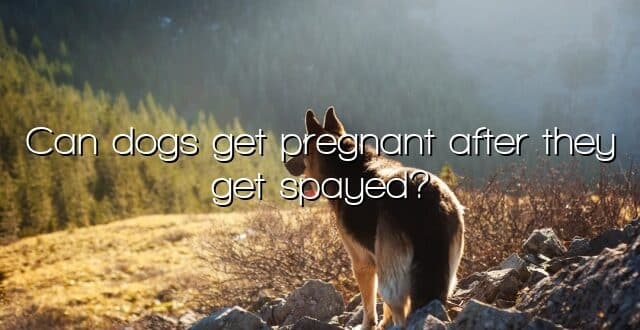 Can dogs get pregnant after they get spayed?