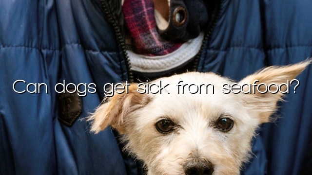 Can dogs get sick from seafood?