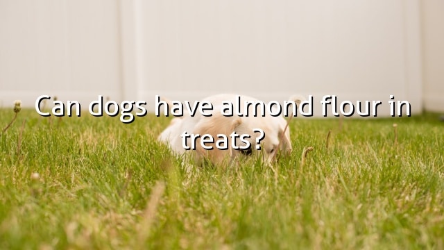 Can dogs have almond flour in treats?