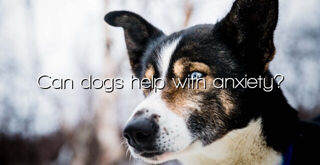 Can dogs help with anxiety?