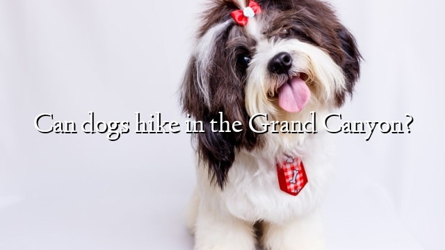 Can dogs hike in the Grand Canyon?