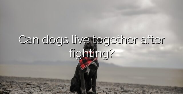Can dogs live together after fighting?