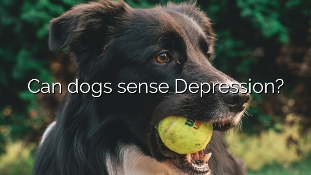 Can dogs sense Depression?