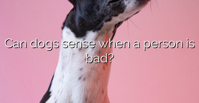 Can dogs sense when a person is bad?