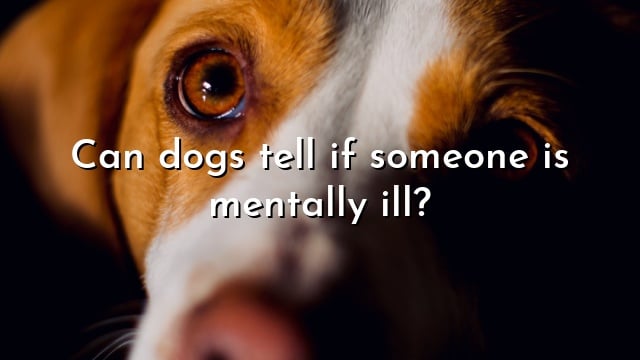 Can dogs tell if someone is mentally ill?