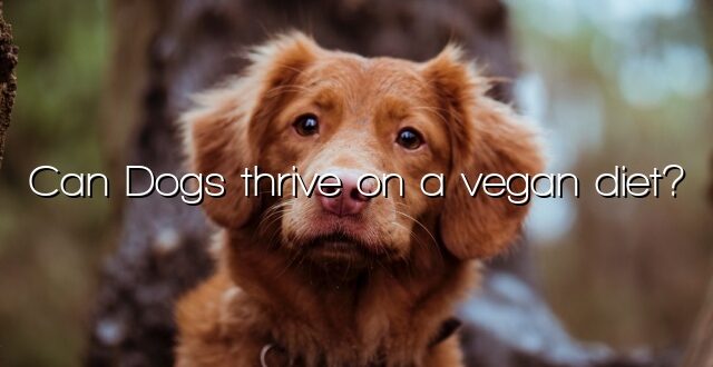 Can Dogs thrive on a vegan diet?