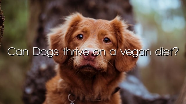 Can Dogs thrive on a vegan diet?
