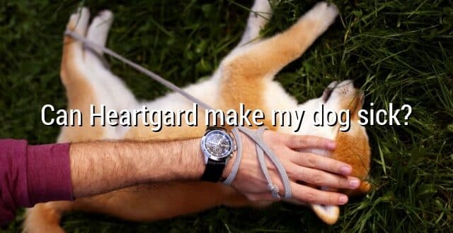 Can Heartgard make my dog sick?