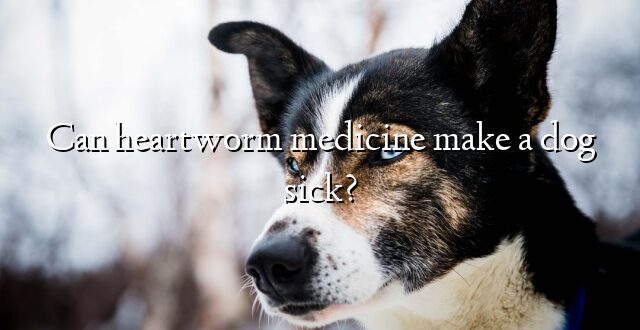 Can heartworm medicine make a dog sick?