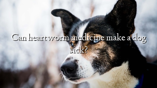 Can heartworm medicine make a dog sick?