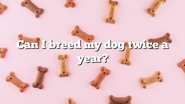 Can I breed my dog twice a year?