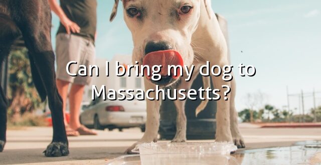 Can I bring my dog to Massachusetts?