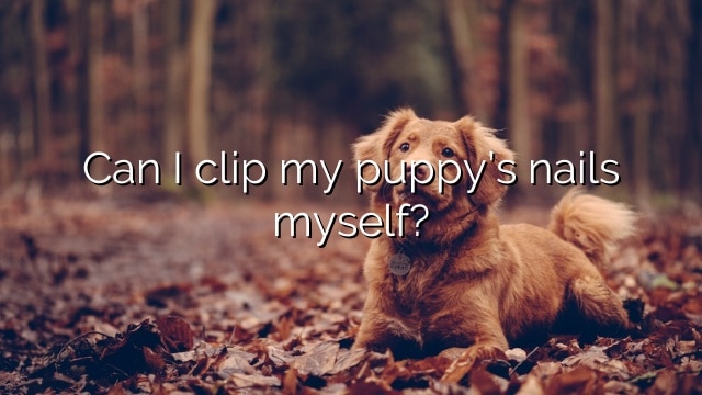 Can I clip my puppy’s nails myself?