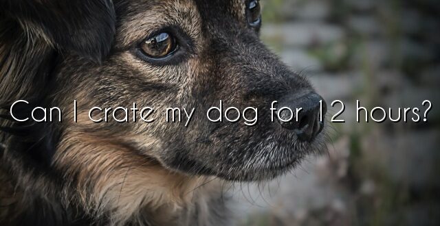 Can I crate my dog for 12 hours?