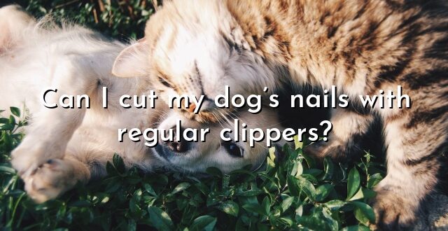 Can I cut my dog’s nails with regular clippers?