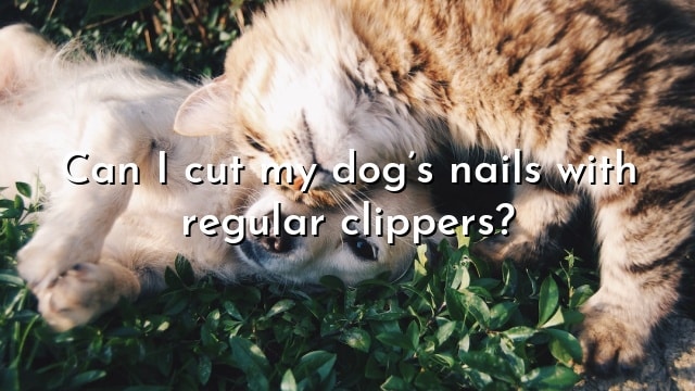 Can I cut my dog’s nails with regular clippers?