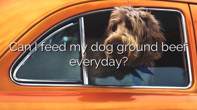 Can I feed my dog ground beef everyday?