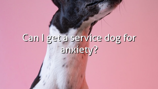 Can I get a service dog for anxiety?