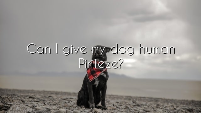 Can I give my dog human Piriteze?