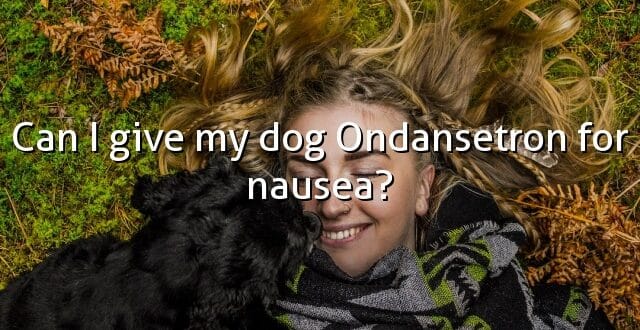Can I give my dog Ondansetron for nausea?