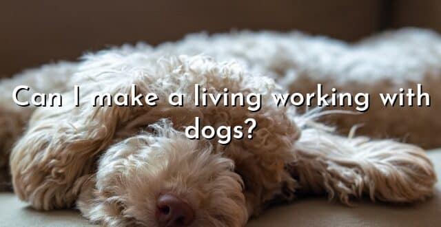 Can I make a living working with dogs?