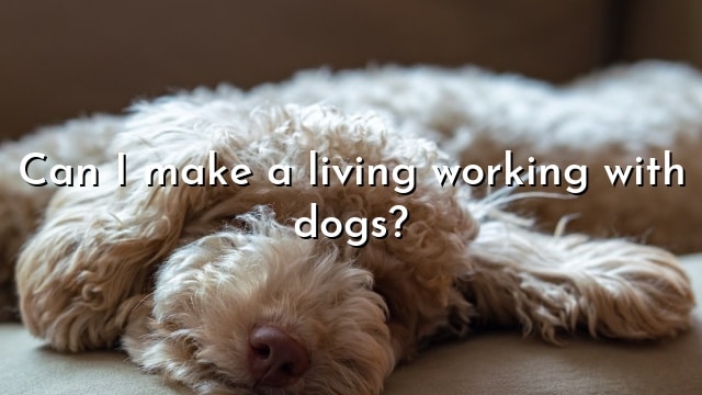 Can I make a living working with dogs?