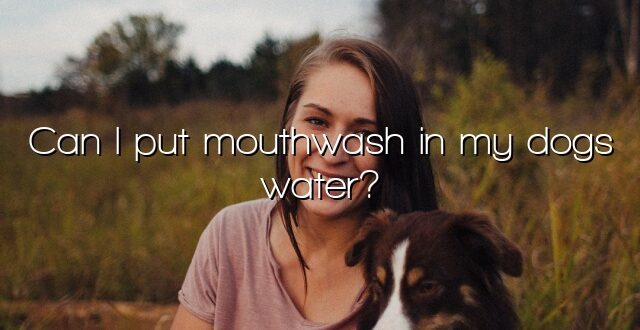 Can I put mouthwash in my dogs water?