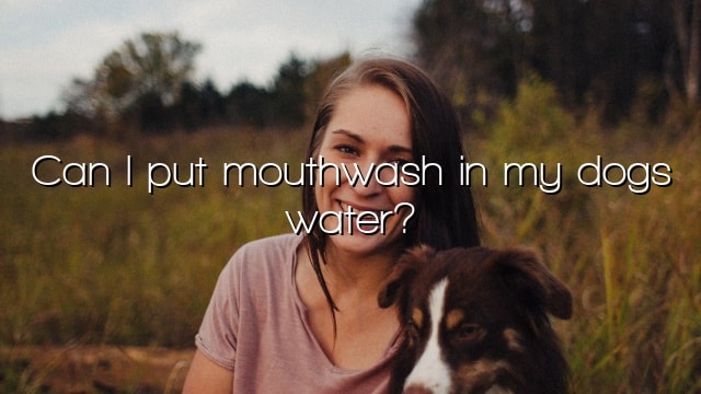 Can I put mouthwash in my dogs water?