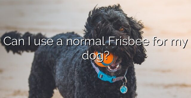 Can I use a normal Frisbee for my dog?