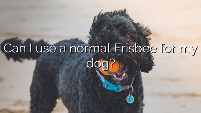Can I use a normal Frisbee for my dog?