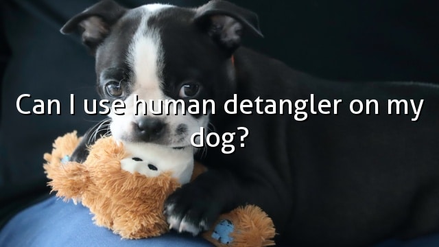 Can I use human detangler on my dog?