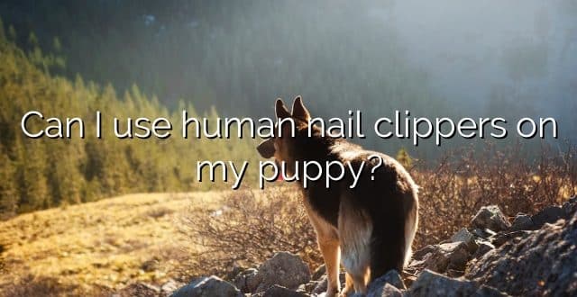 Can I use human nail clippers on my puppy?