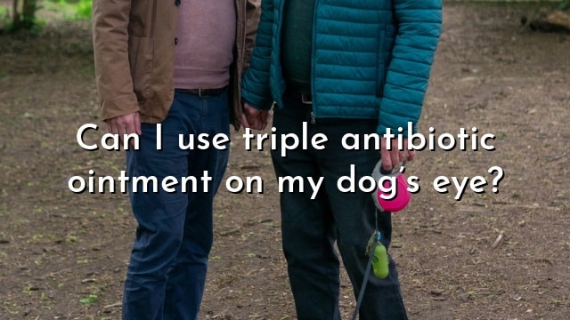 Can I use triple antibiotic ointment on my dog’s eye?