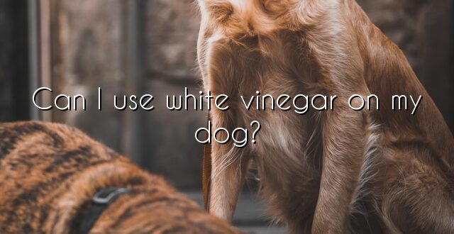 Can I use white vinegar on my dog?