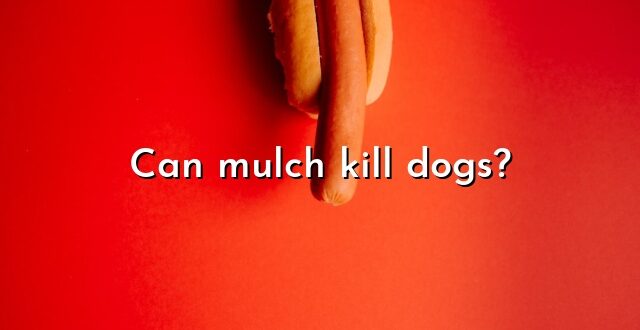 Can mulch kill dogs?