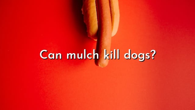 Can mulch kill dogs?