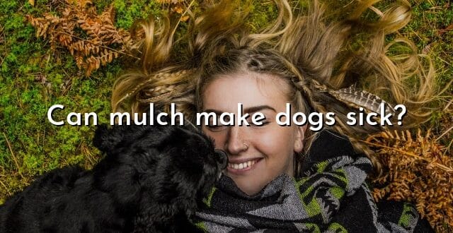Can mulch make dogs sick?