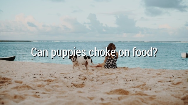 Can puppies choke on food?
