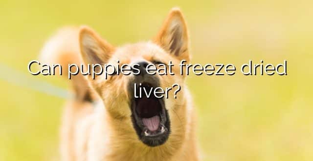 Can puppies eat freeze dried liver?