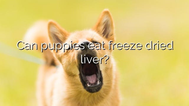 Can puppies eat freeze dried liver?